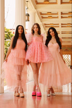 Load image into Gallery viewer, Willow Blush Gown