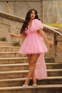 Rosetta Pink Dress