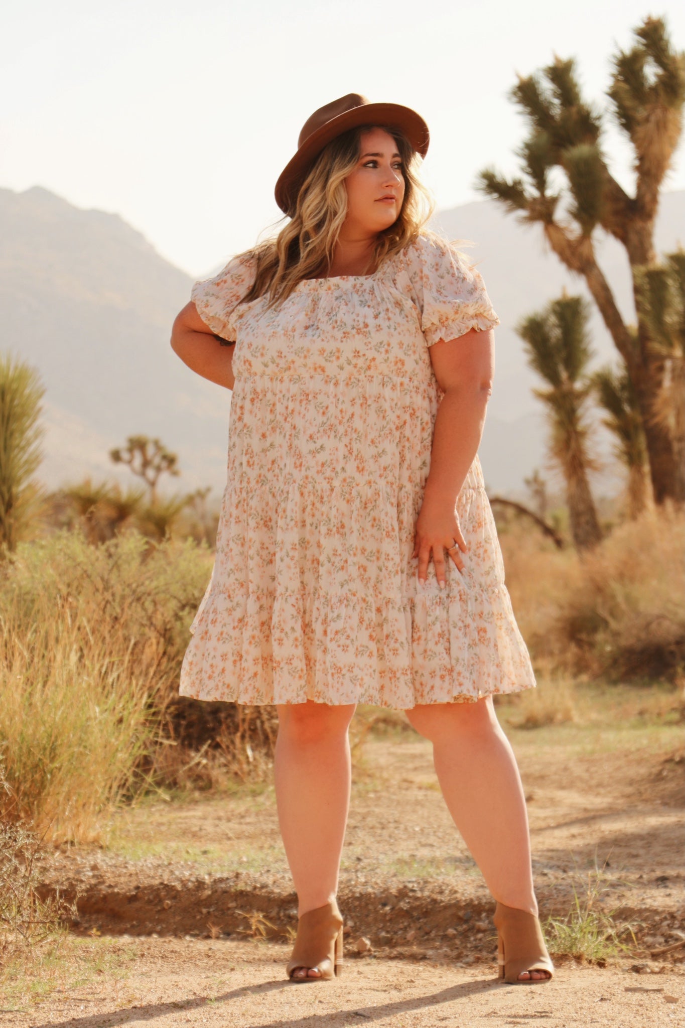 brooke mini dress Brooke Mini Dress