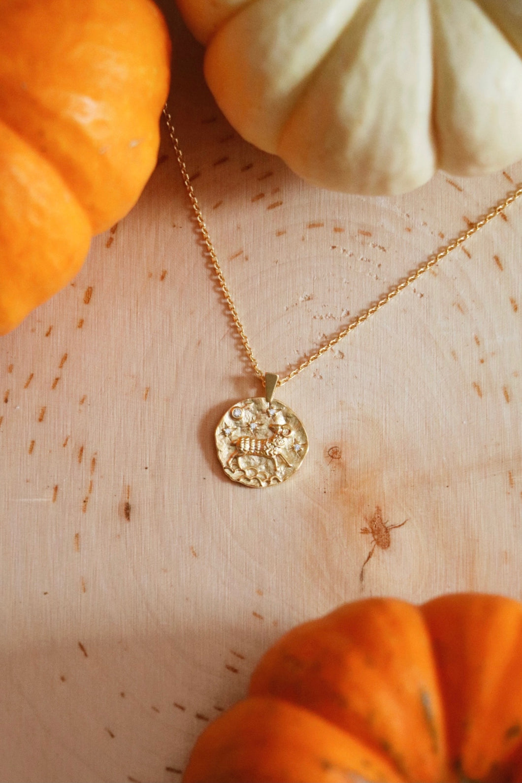 Aries Gold Coin Necklace